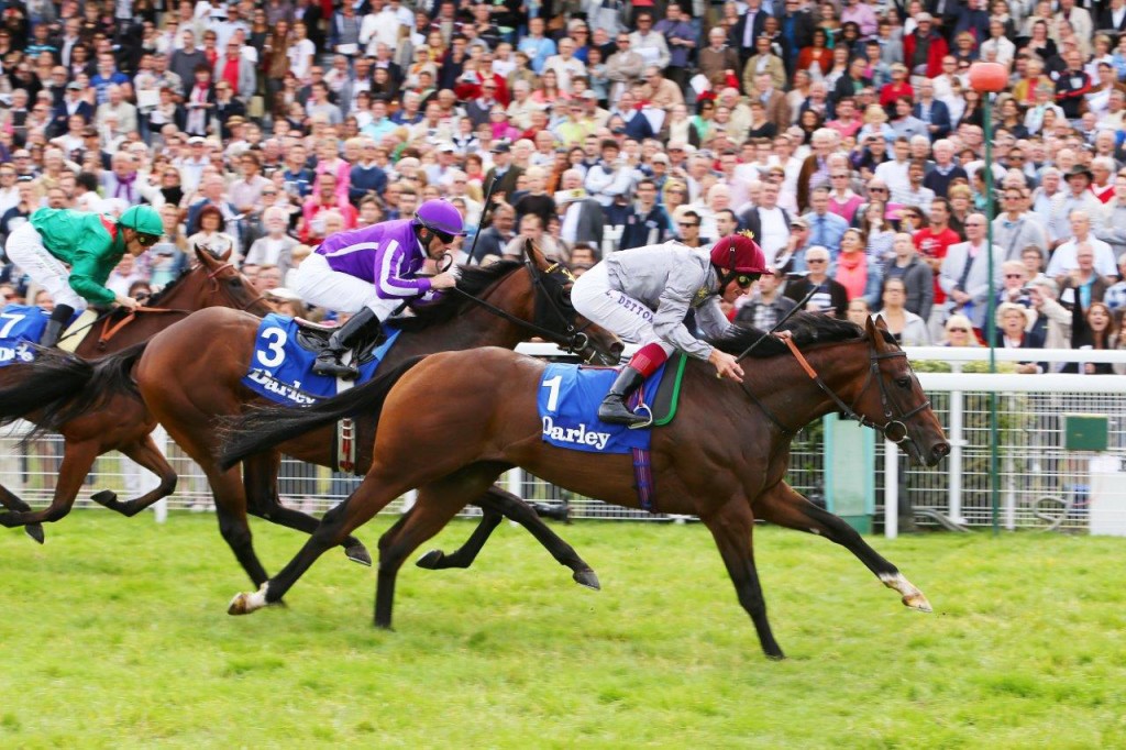 The Wow Signal  G1 Prix Morny