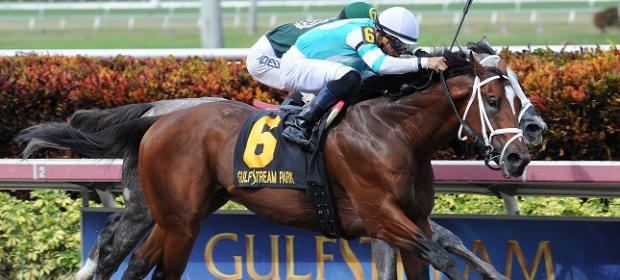 Requite the Big Cypress credit Lauren King