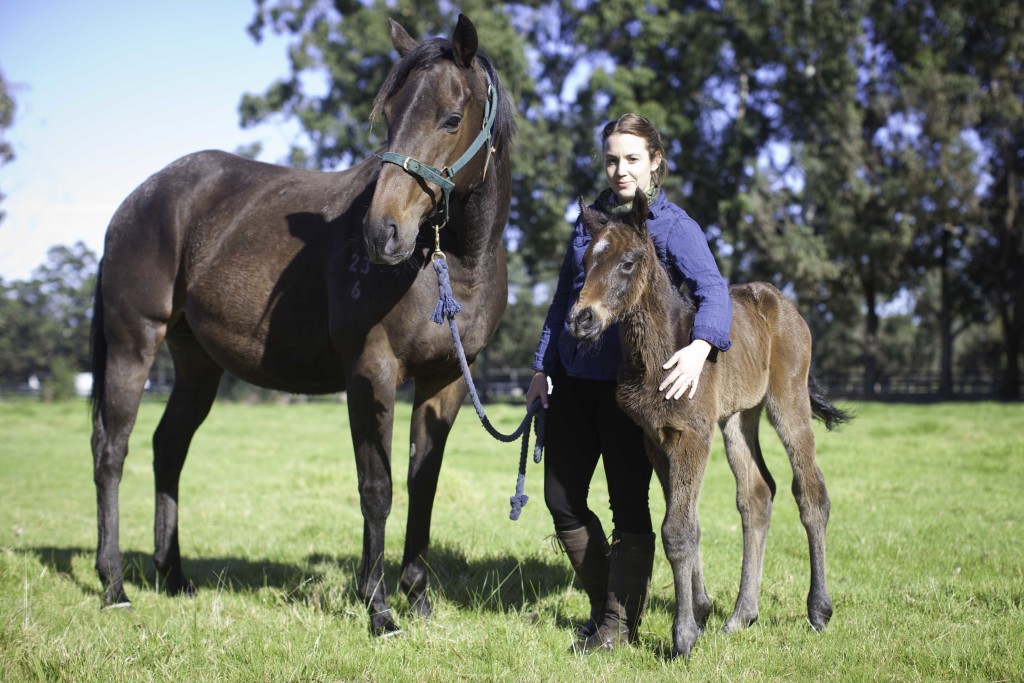 Dick Turpin - About Even Mungrup