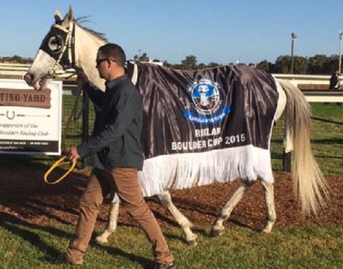 ask me nicely rug resize