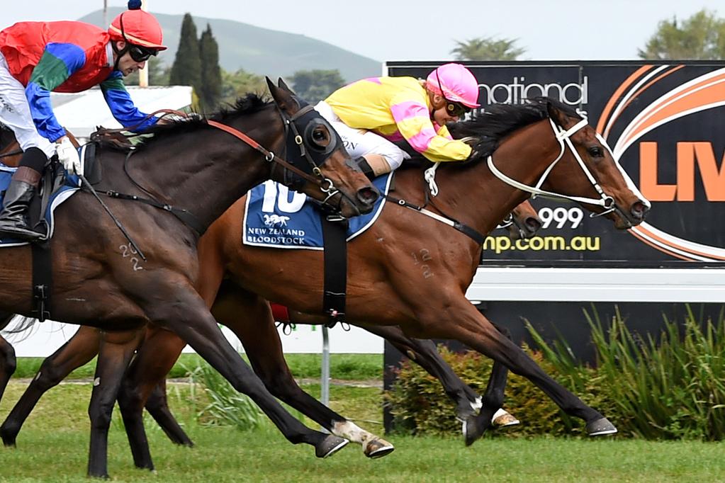 Serious Satire Gold Trail St