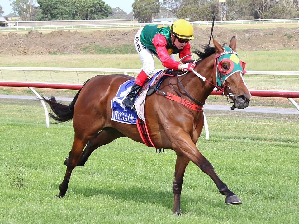 rainbow storm hamilton cup