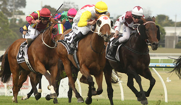 casino dancer sandown