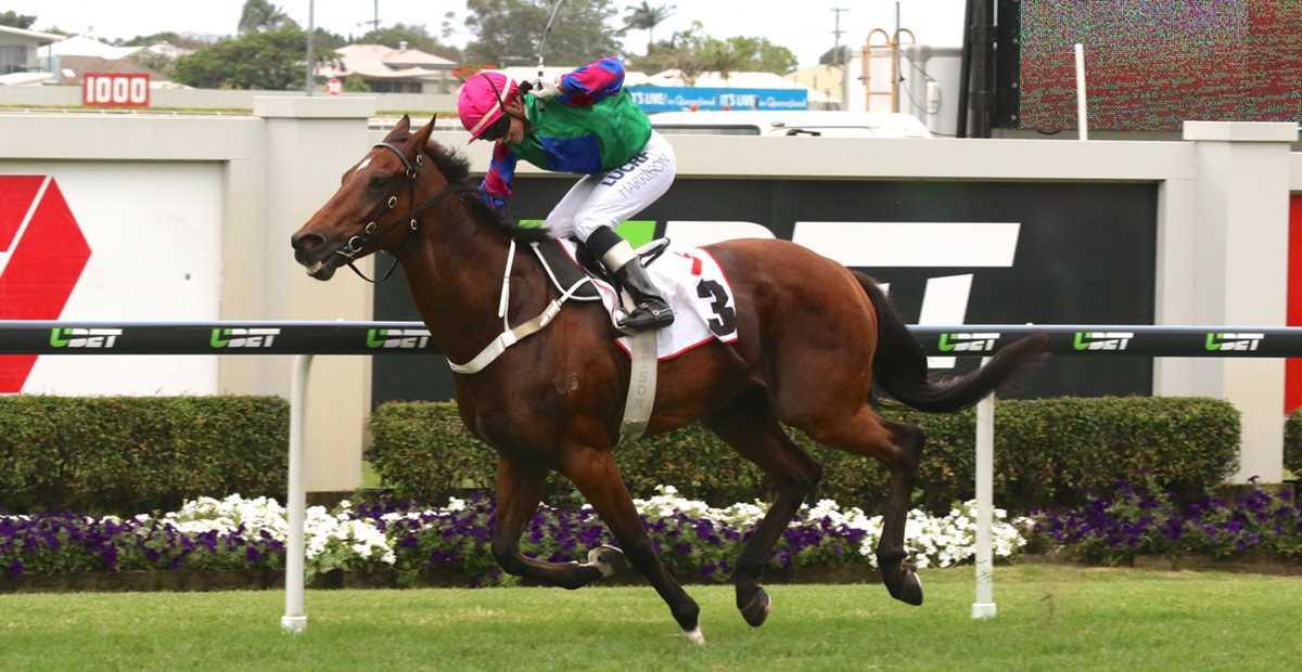 didntcostalot nov 28