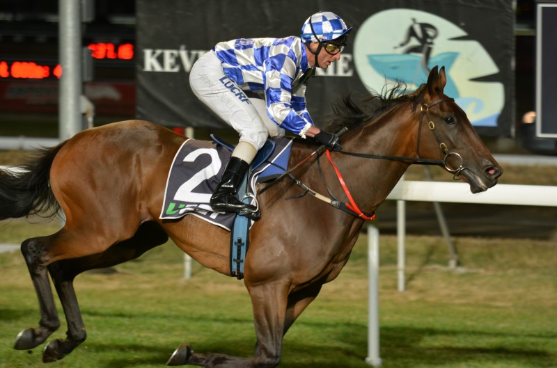 Admiral-Kevin-Sharkie-Tasmanian-Stakes