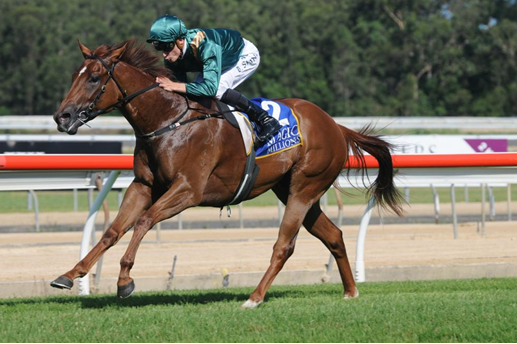 Capitalist Wyong MM