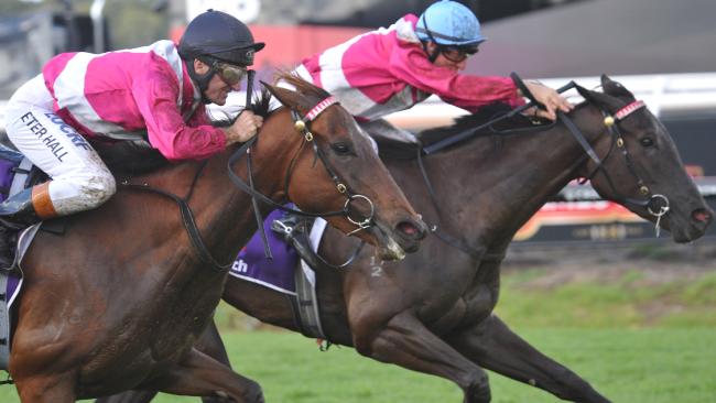 Perfect Reflection Kingston Town Classic