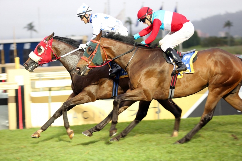 Starcraft-Prince-aus