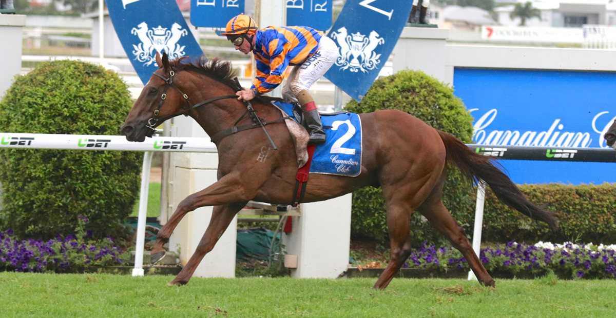fontelina doomben