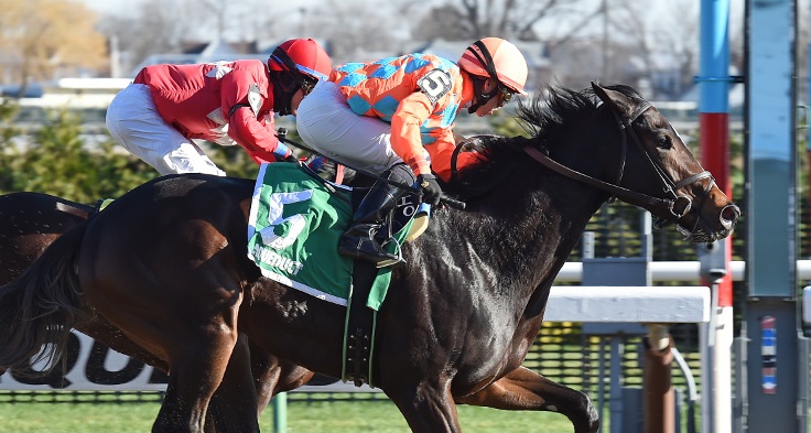 frosty margarita wins fifth avenue resize