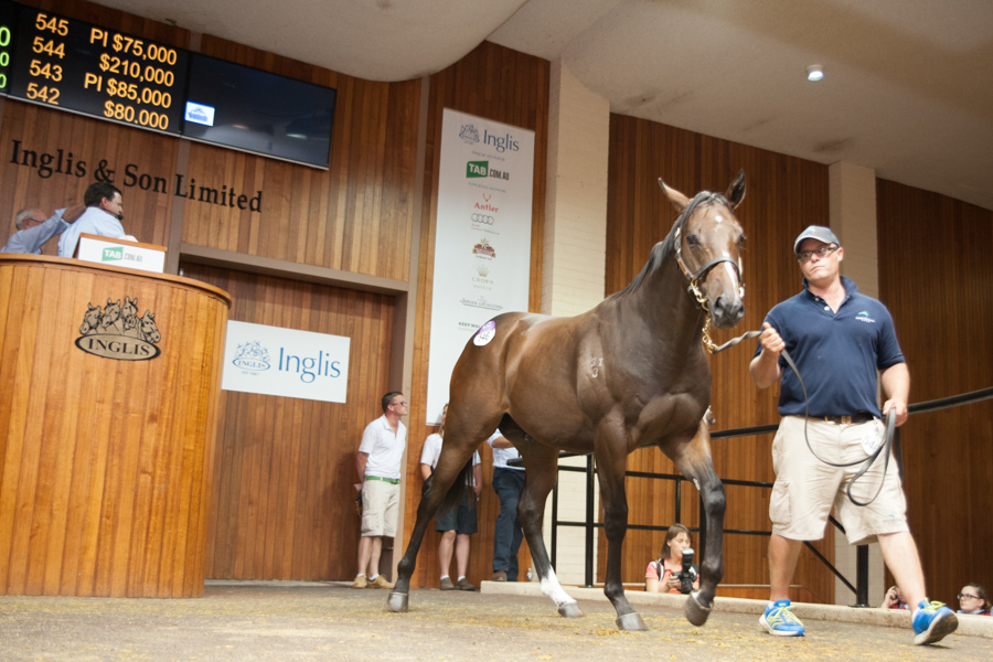 MOD Subtle Breeze Tim Jones