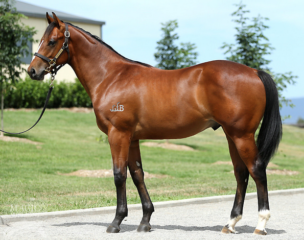 Street Cry - Mafia Miss