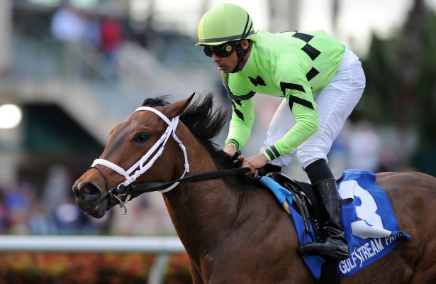 Cash Back Melody of Colors