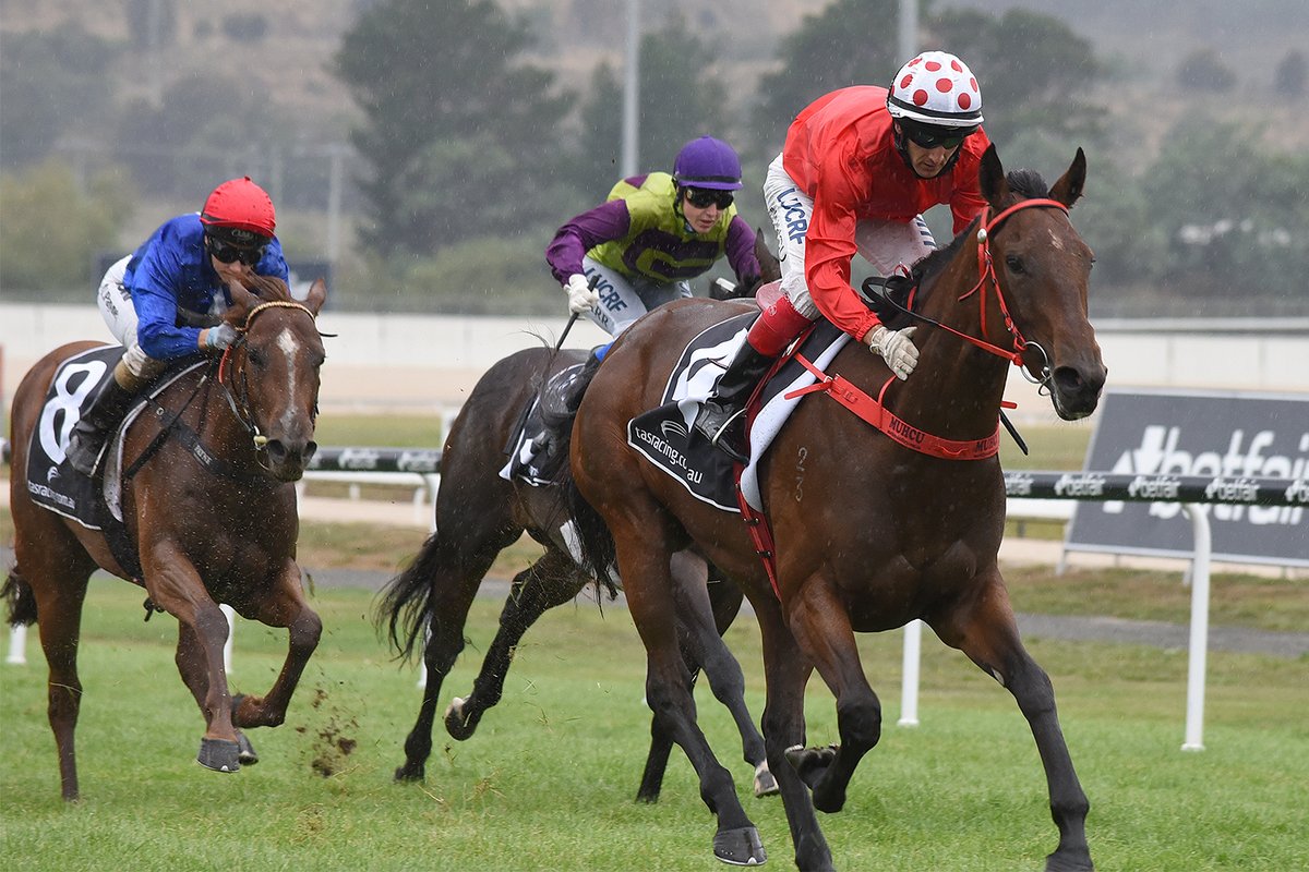 Hot Dipped Gold Sovereign