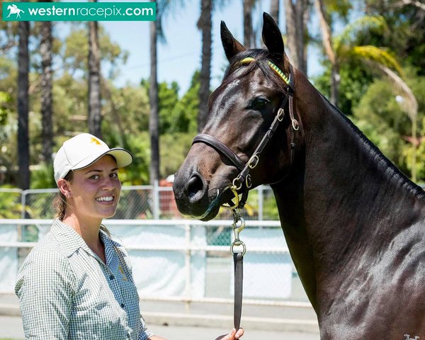 Street Cry Gracie Bloomer