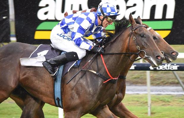 admiral george adams 16