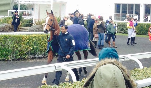 BOATERHelmet filly parades at Kempton before her winning debut on Saturday