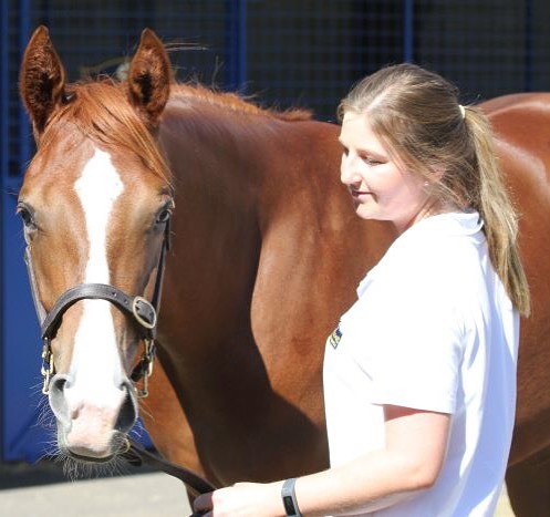 RECORD-PRICED FILLY Written Tycoon half-sister to Burning Front