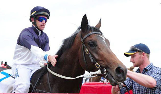 KERAUNOEquiano colt returns to scale with Dale Smith at Donald