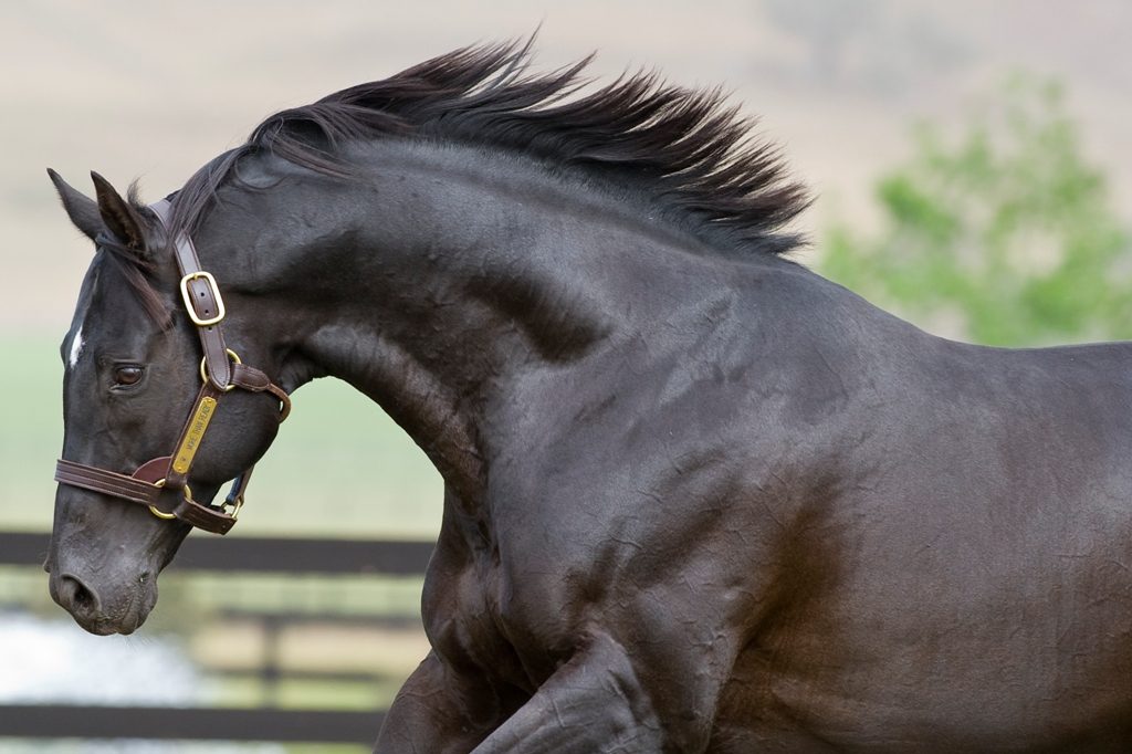 ??????????????????????????????????????????????????????????????????????????????????????????????????????????????????