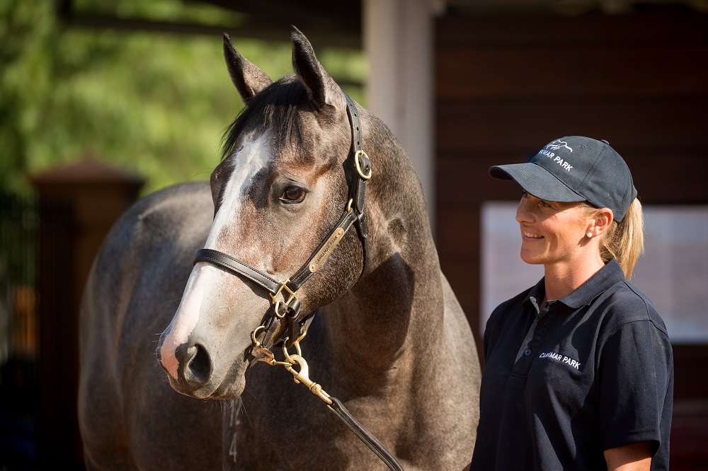 Written Tycoon x True Seduction Colt with Max Schofer