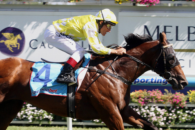 Bull Point, (Damien Oliver), wins the Manfred Stakes, Group 3, at Caulfield, 01 February, 2014. Copyright: Colin Bull Sportpix.