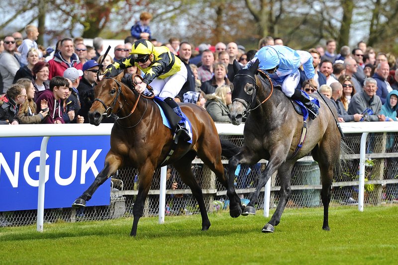 EBONY N IVORYEquiano first starter (rails) wins at Salisbury