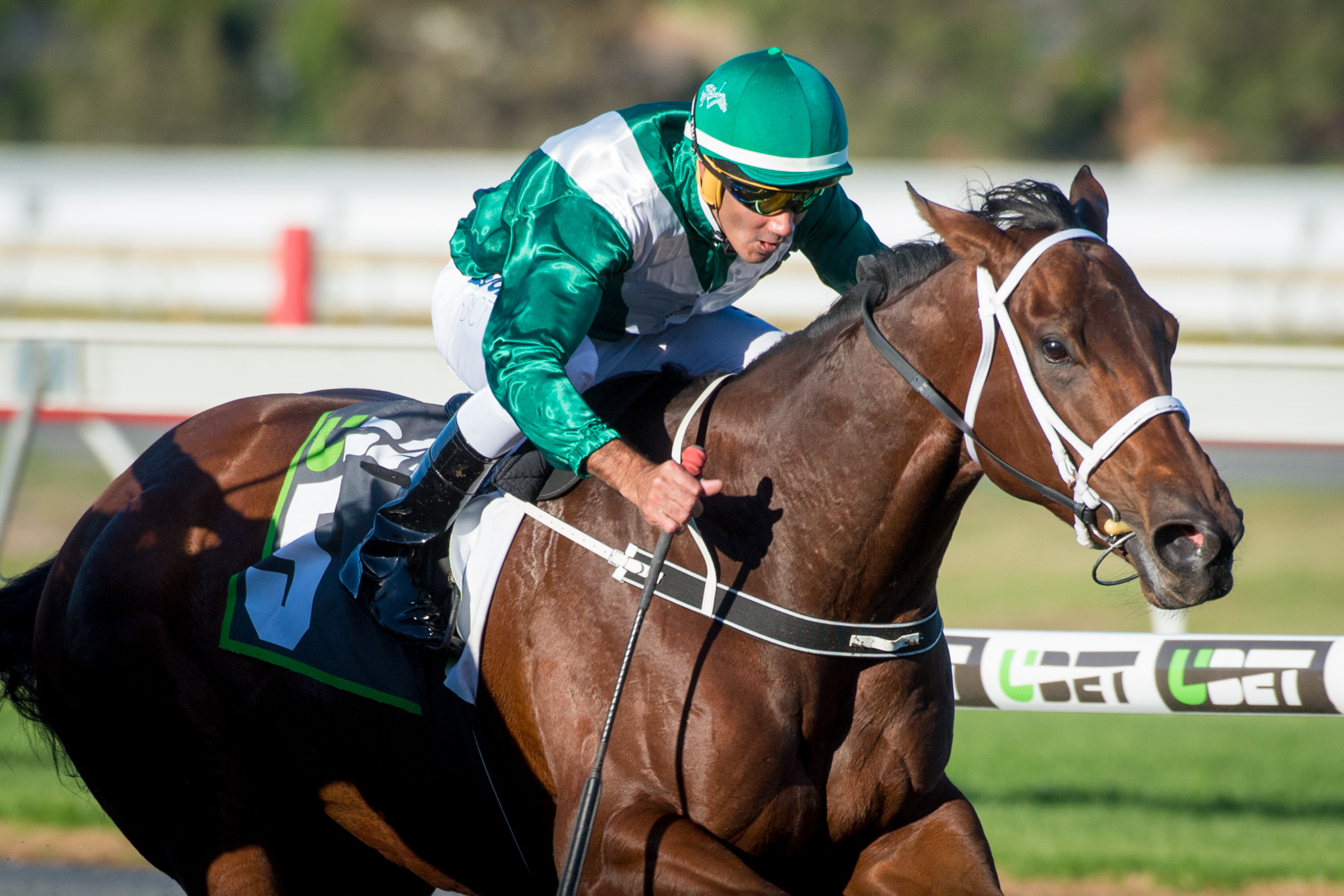 Vinery Star touted for G1 Tatts Tiara | Thoroughbred Express