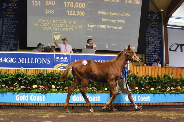 WRITTEN TYCOON - SUMMARY COLT