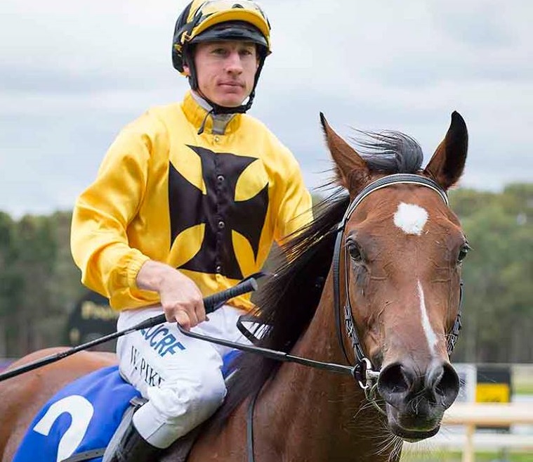 SANDALWOODPhoto / Western Racepix