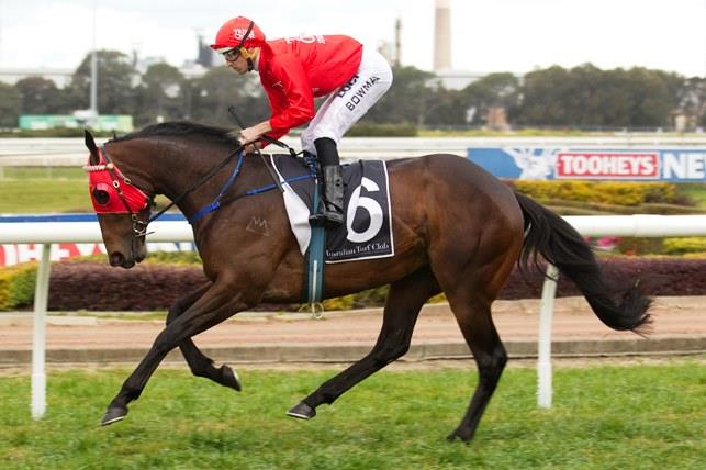 REDZEL