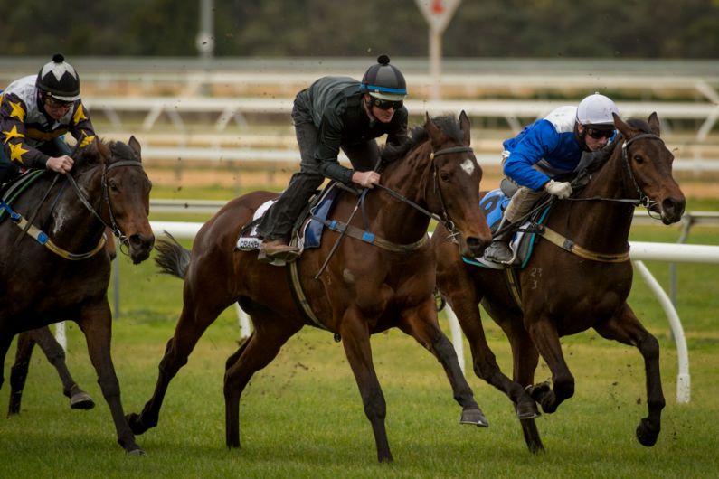 BRIGITE Casino Prince filly (centre) under a firm grip at Cranbourne Photo / Sharon Chapman