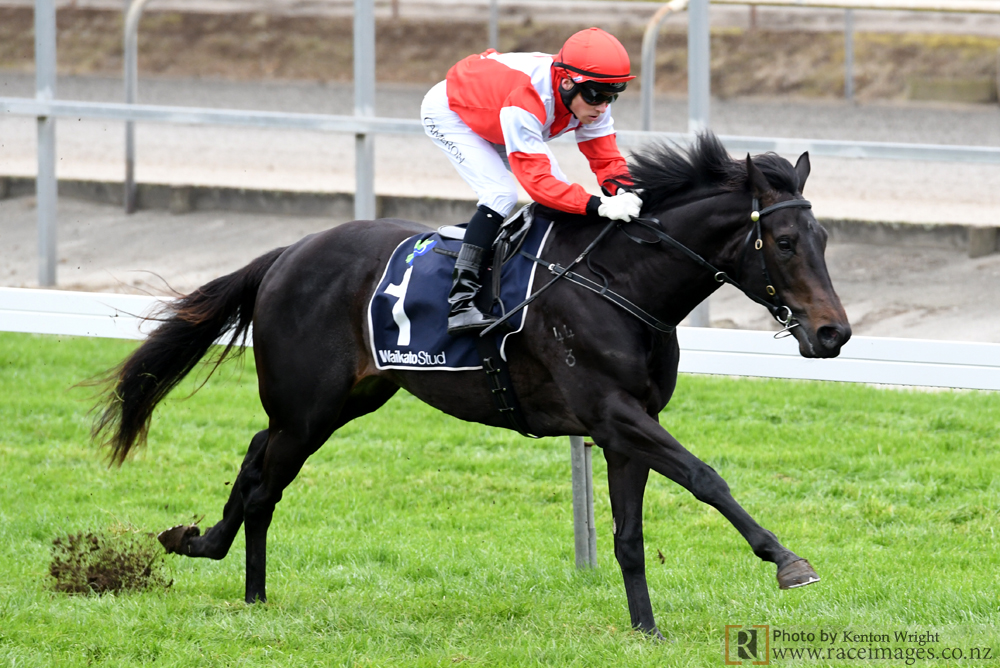 MONGOLIANLIGHTNINGBullbars colt wins by 8 lengths on debut at Matamata