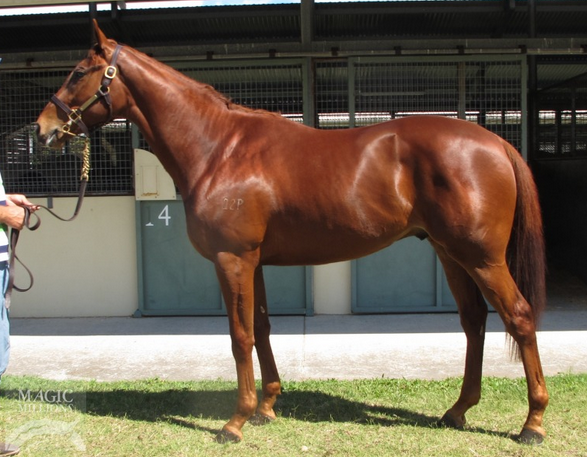 Gingerbread Man colt sold to Singapore