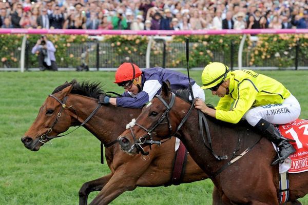 ALMANDINGerman-bred stayer (red cap) wins the Melbourne Cup