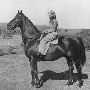 camelhair-mary-johns