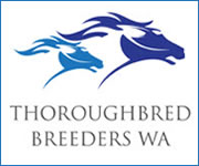 Thoroughbred Breeders WA